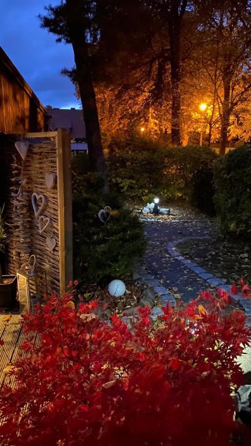Das Ferienhaus Am Tiergarten แวร์นิกโกโรเดอ ภายนอก รูปภาพ