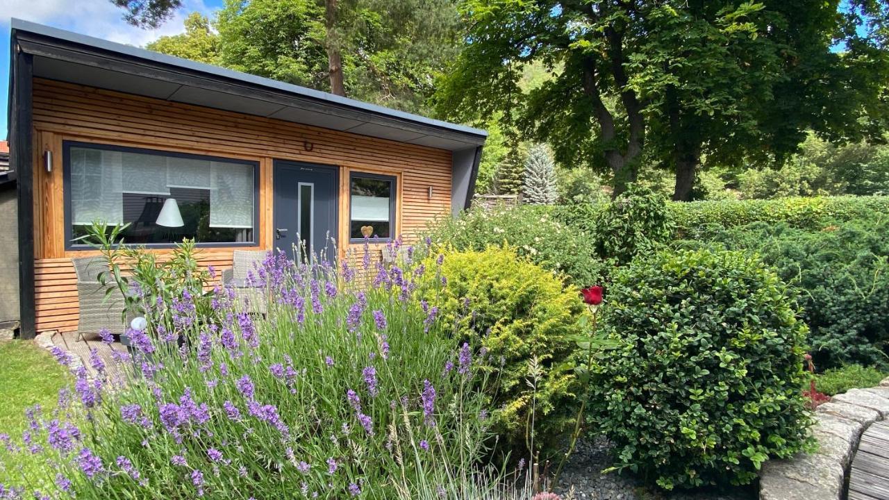 Das Ferienhaus Am Tiergarten แวร์นิกโกโรเดอ ภายนอก รูปภาพ