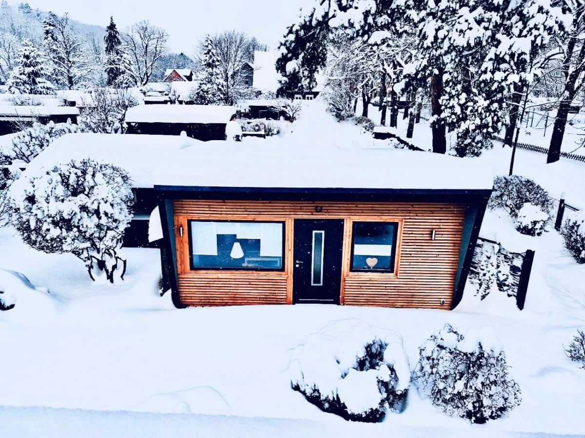 Das Ferienhaus Am Tiergarten แวร์นิกโกโรเดอ ภายนอก รูปภาพ